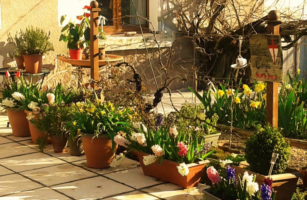 Nouâtre La Cle Des Jardins Bed & Breakfast エクステリア 写真